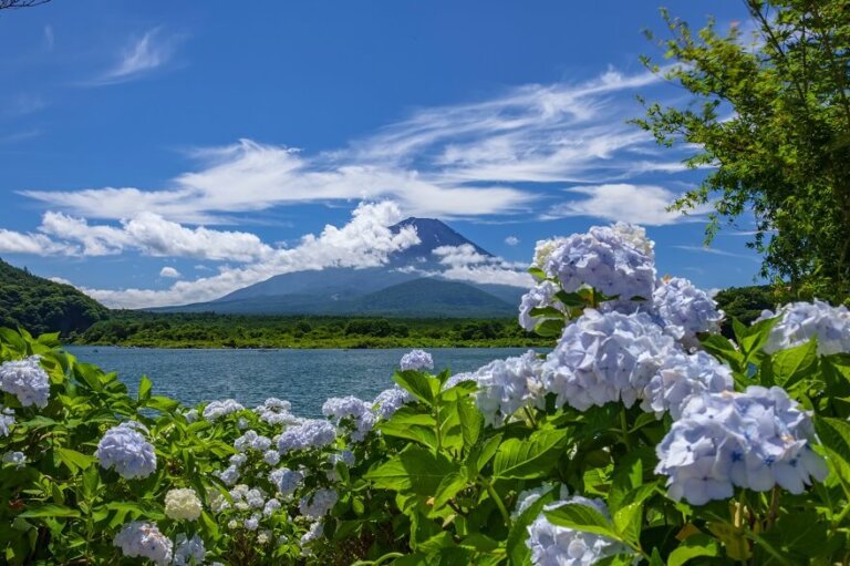 Summer in Japan weather and clothing Wa