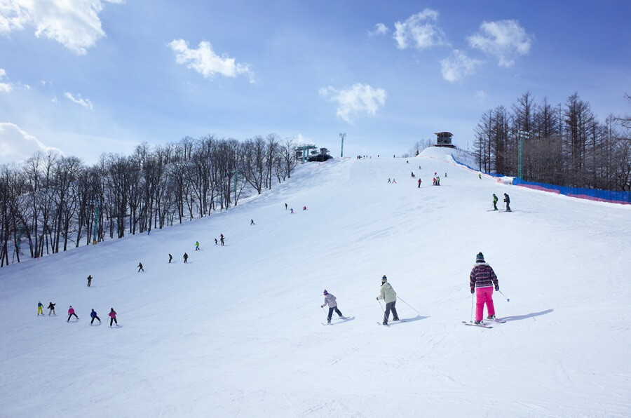 Enjoy skiing in Hokkaido! Top 7 recommended ski resorts near Sapporo - Wa